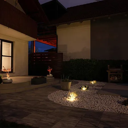 Apartman Red Maple *